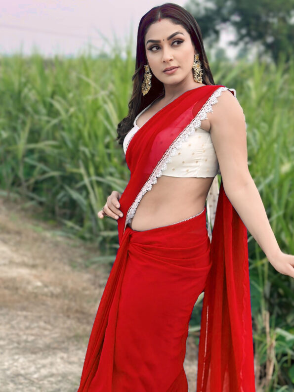 Georgette Saree with White Cotton Lace and Fancy Blouse
